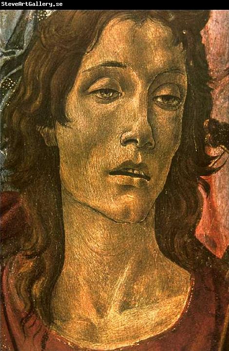 BOTTICELLI, Sandro San Barnaba Altarpiece (detail: head of St John) gdfg